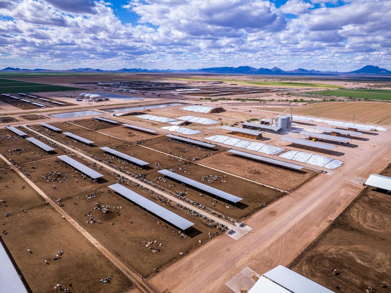 Fornecedor de energia solar